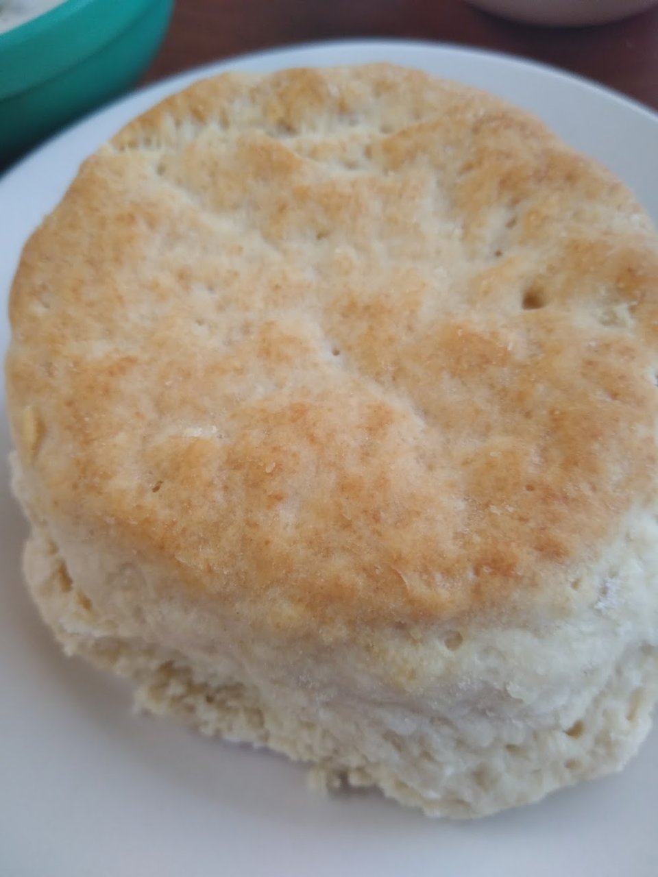 Biscuit